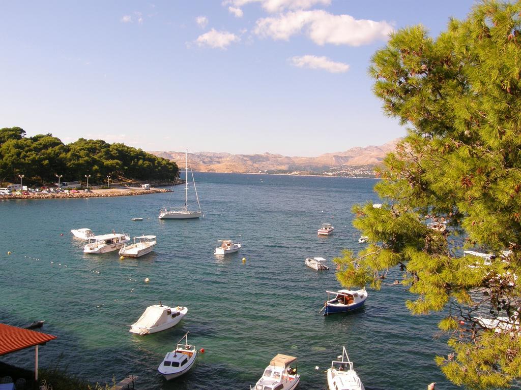 Apartment Vanda Seafront Fantastic *